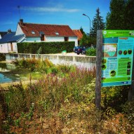 La mare fait partie du "Circuit des mares". Elle est valorisée par des plantations de plantes aquatiques locales. Elle fait l'objet du 9ème arrêt du circuit et présente un panneau éducatif sur la flore aquatique.